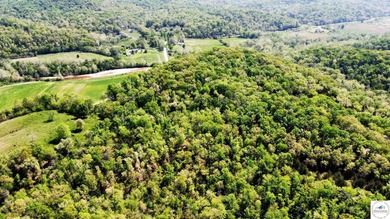 Here is a unique opportunity. Located just 3.7 miles (about 5 - photo 30
