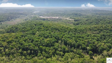 Here is a unique opportunity. Located just 3.7 miles (about 5 - photo 32