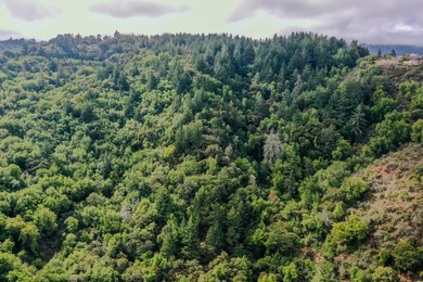 Discover a hidden gem high above Silicon Valley - a serene 8 - photo 4