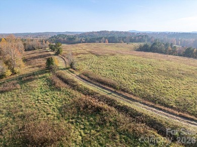 Ideally located only 3 minutes from the Tryon Int'l Equestrian - photo 2
