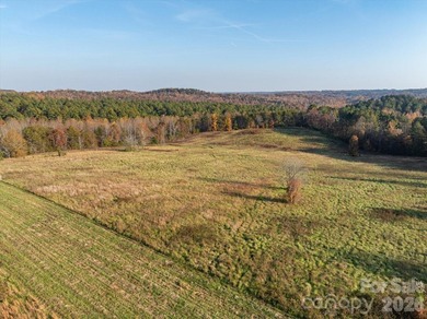 Ideally located only 3 minutes from the Tryon Int'l Equestrian - photo 3