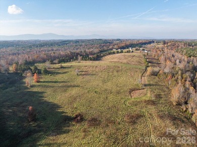Ideally located only 3 minutes from the Tryon Int'l Equestrian - photo 5
