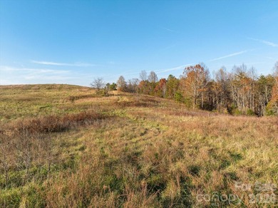 Ideally located only 3 minutes from the Tryon Int'l Equestrian - photo 6