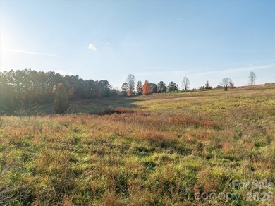 Ideally located only 3 minutes from the Tryon Int'l Equestrian - photo 7