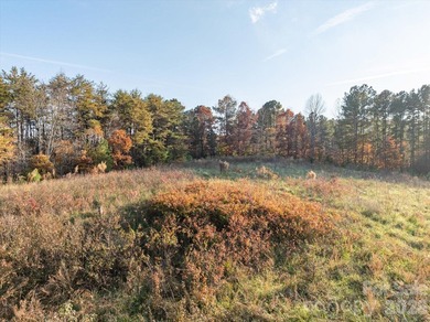 Ideally located only 3 minutes from the Tryon Int'l Equestrian - photo 8