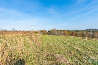 Ideally located only 3 minutes from the Tryon Int'l Equestrian - photo 9