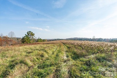 Ideally located only 3 minutes from the Tryon Int'l Equestrian - photo 10