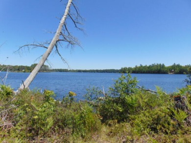 Lake Acreage For Sale in Newberry, Michigan
