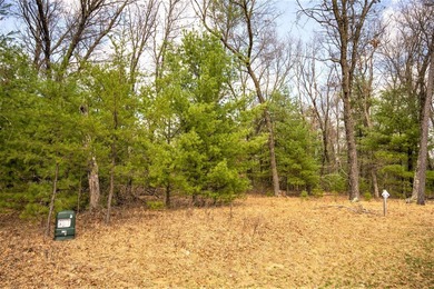 Nicely wooded 1.05 acre parcel with deeded access to Castle Rock - photo 11