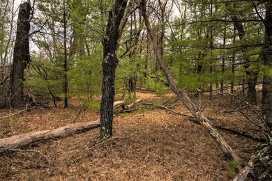 Nicely wooded 1.05 acre parcel with deeded access to Castle Rock - photo 12