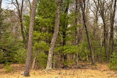 Nicely wooded 1.05 acre parcel with deeded access to Castle Rock - photo 13