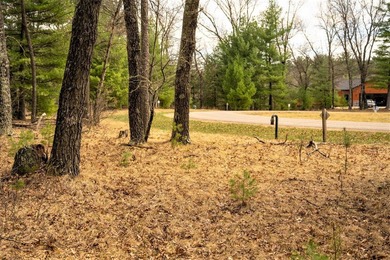 Nicely wooded 1.05 acre parcel with deeded access to Castle Rock - photo 14