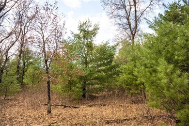 Nicely wooded 1.05 acre parcel with deeded access to Castle Rock - photo 17