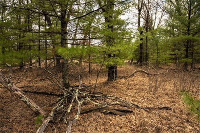 Nicely wooded 1.05 acre parcel with deeded access to Castle Rock - photo 18