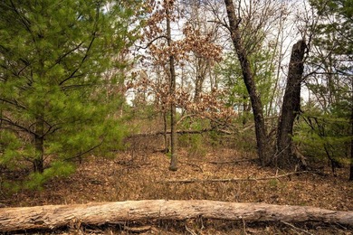 Nicely wooded 1.05 acre parcel with deeded access to Castle Rock - photo 19