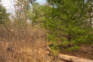 Nicely wooded 1.05 acre parcel with deeded access to Castle Rock - photo 20