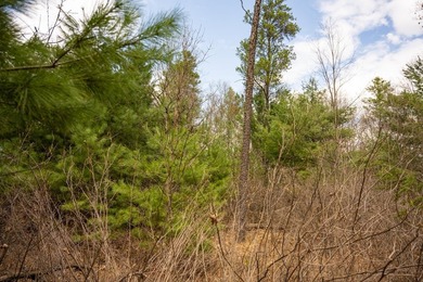 Nicely wooded 1.05 acre parcel with deeded access to Castle Rock - photo 21