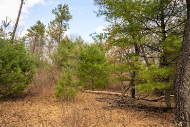 Nicely wooded 1.05 acre parcel with deeded access to Castle Rock - photo 22