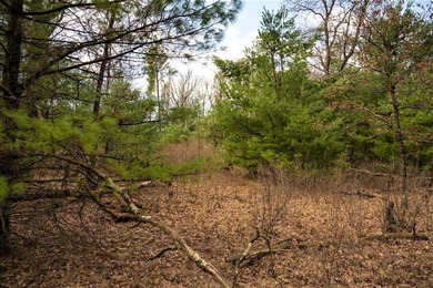 Nicely wooded 1.05 acre parcel with deeded access to Castle Rock - photo 23