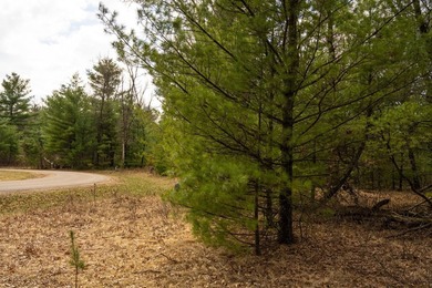 Nicely wooded 1.05 acre parcel with deeded access to Castle Rock - photo 24