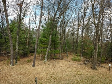 Nicely wooded 1.05 acre parcel with deeded access to Castle Rock - photo 26