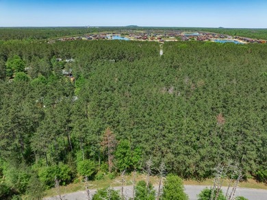 Nicely wooded .48-acre lot in Castle Rock Estates subdivision - photo 1