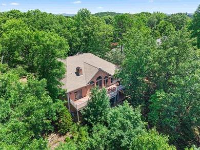 Perched at over 1,000 feet in elevation, this beautiful home - photo 2