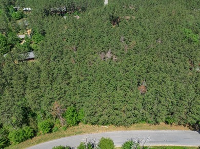 Nicely wooded .48-acre lot in Castle Rock Estates subdivision - photo 2