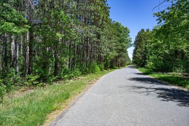 Nicely wooded .48-acre lot in Castle Rock Estates subdivision - photo 3