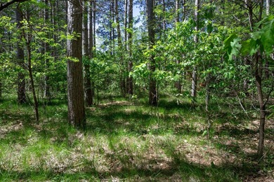 Nicely wooded .48-acre lot in Castle Rock Estates subdivision - photo 7