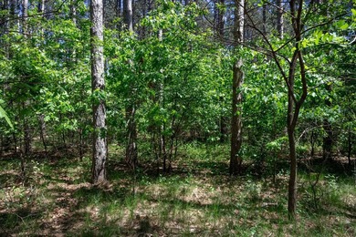 Nicely wooded .48-acre lot in Castle Rock Estates subdivision - photo 10