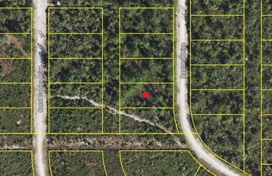 Lake Weohyakapka Lot For Sale in Indian Lake Estates Florida