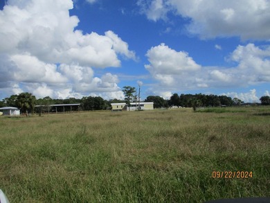 Lake Okeechobee Home For Sale in Okeechobee Florida