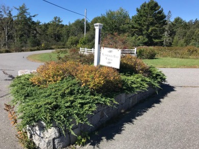 Frenchman Bay  Acreage For Sale in Sullivan Maine