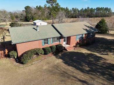 Lake Home For Sale in Ochlocknee, Georgia