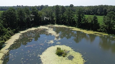 (private lake, pond, coastal) Acreage Sale Pending in Thomasville Georgia