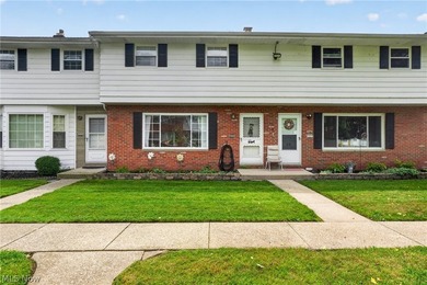 Amazing large and updated townhouse in a great location at 27651 - photo 1