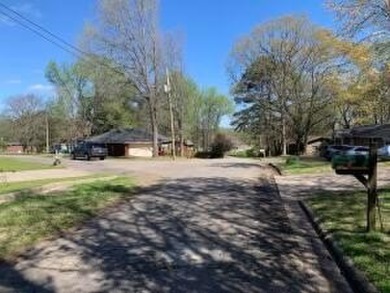 Lake Acreage For Sale in Russellville, Arkansas