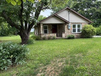 Located in the heart of the Ozarks near beautiful Bull Shoals - photo 1