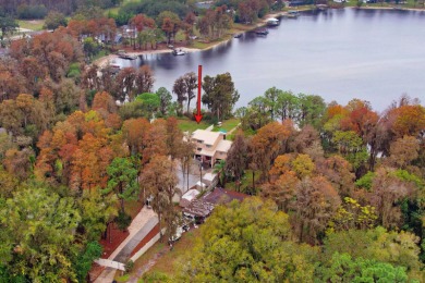 (private lake, pond, creek) Home For Sale in Odessa Florida