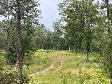 DeGray Lake Acreage For Sale in Bismarck Arkansas