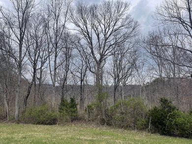 MOTIVATED SELLER- Level 1.3 Acre Lake Cumberland Lot - Lake Lot For Sale in Russell Springs, Kentucky