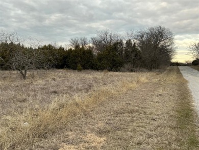 Lake Whitney Lot For Sale in Whitney Texas