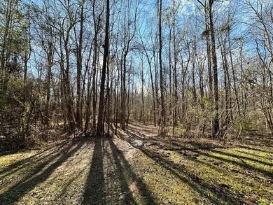 5.5 acres in beautiful neighborhood with all gated driveways - photo 1