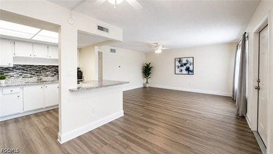Welcome to your own slice of Southwest Florida paradise! This - photo 4