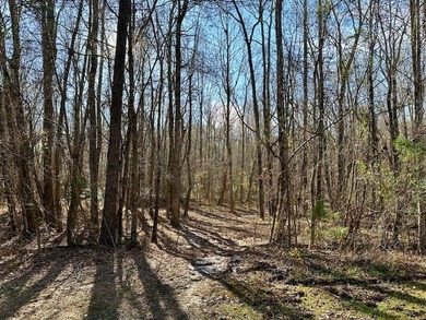 5.5 acres in beautiful neighborhood with all gated driveways - photo 5