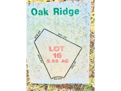 5.5 acres in beautiful neighborhood with all gated driveways - photo 6
