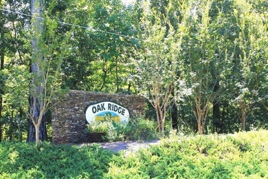 5.5 acres in beautiful neighborhood with all gated driveways - photo 7