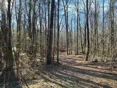 5.5 acres in beautiful neighborhood with all gated driveways - photo 8