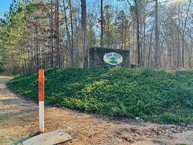 5.5 acres in beautiful neighborhood with all gated driveways - photo 10